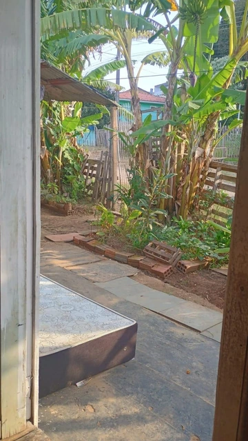 Foto Terreno
