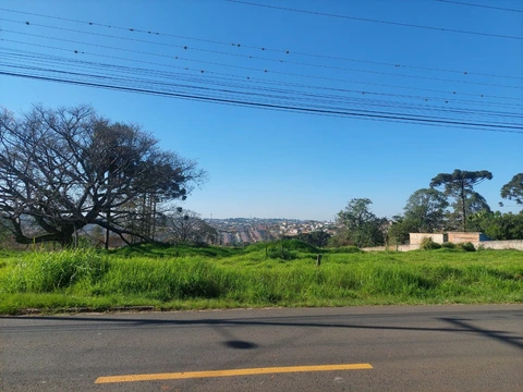 Foto Terreno