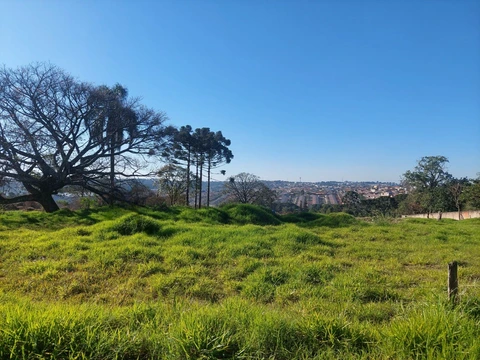 Foto Terreno