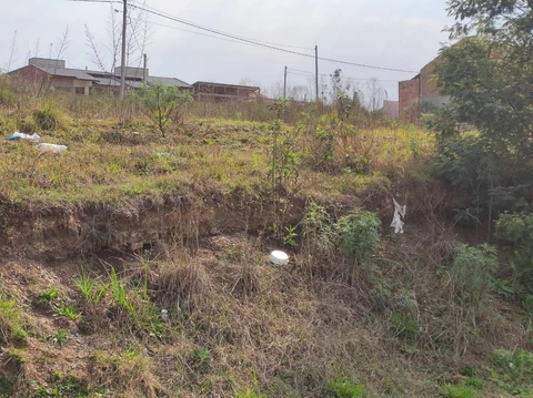 Foto Terreno