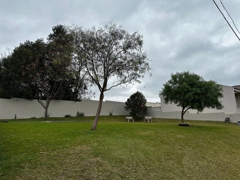 Foto Terreno