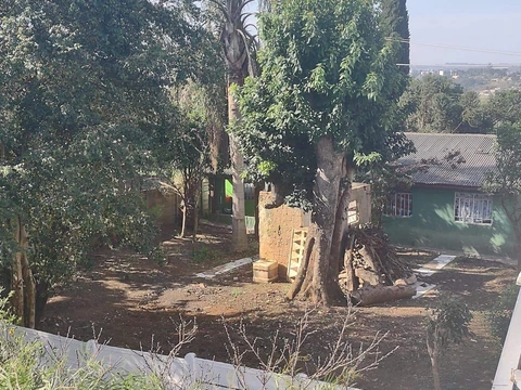 Foto Terreno