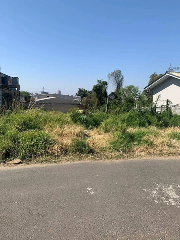 Foto Terreno