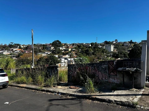 Foto Terreno
