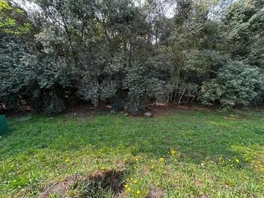 Terreno à Venda, Orfãs, Ponta Grossa, Pr