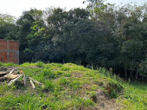 Foto Terreno
