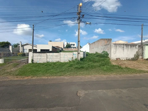 Foto Terreno