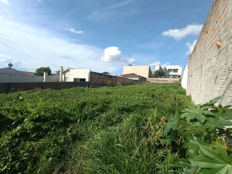 Foto Terreno