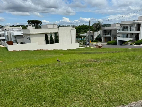 Foto Terreno