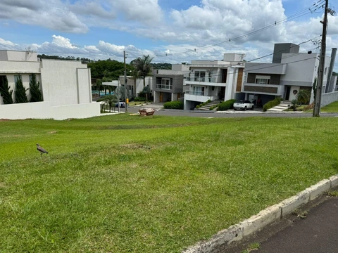 Foto Terreno
