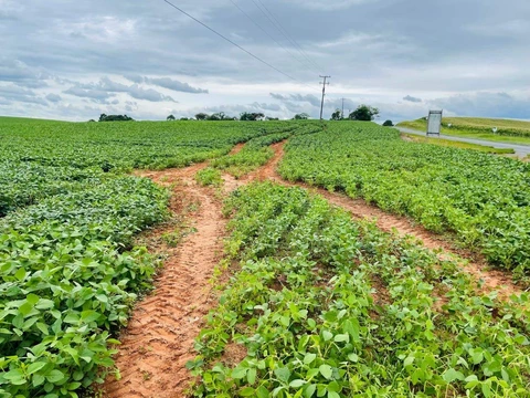 Foto Rural