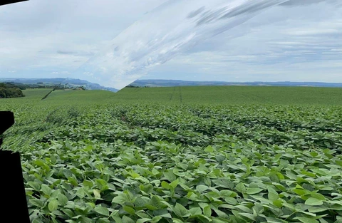 Foto Rural