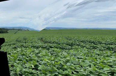 Fazenda De Plantação à Venda, Rodovia, Ponta Grossa, Pr
