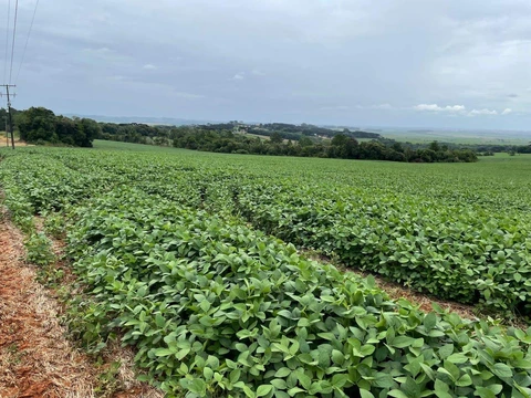 Foto Rural