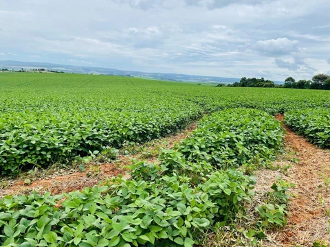 Foto Rural
