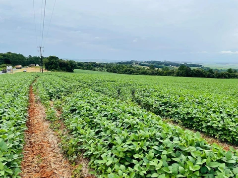 Foto Rural