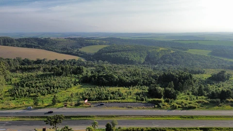 Foto Terreno
