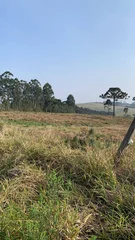 <strong>Terreno Rural à venda, BR376, Uvaia, PR</strong>