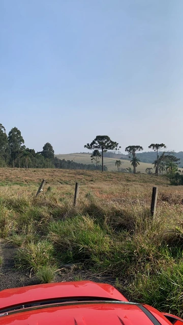 Foto Terreno