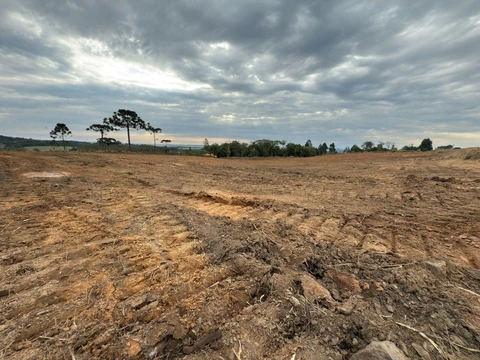 Foto Terreno