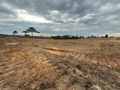 <strong>terreno Comercial à venda, BR376, Uvaia, PR</strong>
