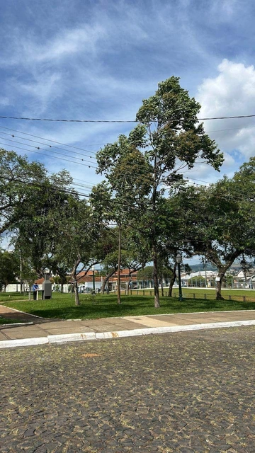 Foto Terreno