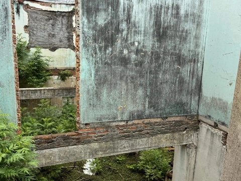 Foto Terreno