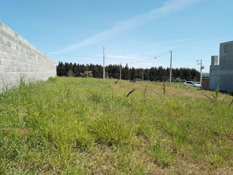 Foto Terreno