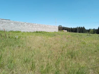 Terreno à Venda, Colônia Dona Luíza, Ponta Grossa, Pr