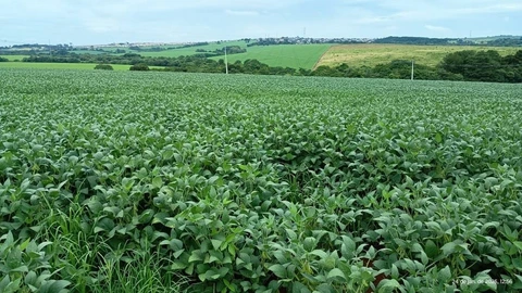 Foto Terreno