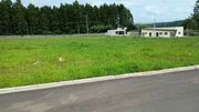 <strong>Terreno à venda, Colônia Dona Luíza, Ponta Grossa, PR</strong>