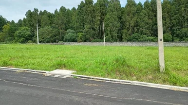 Terreno à Venda, Colônia Dona Luíza, Ponta Grossa, Pr