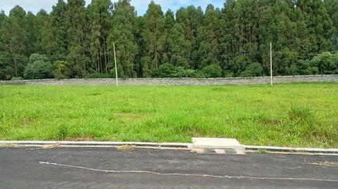Foto Terreno