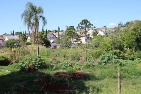 Foto Terreno