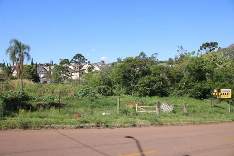 Foto Terreno