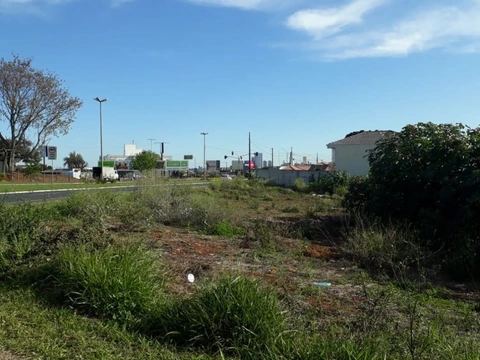 Foto Terreno