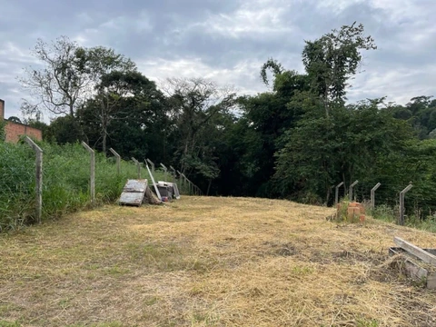 Foto Terreno
