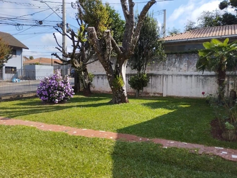Foto Terreno