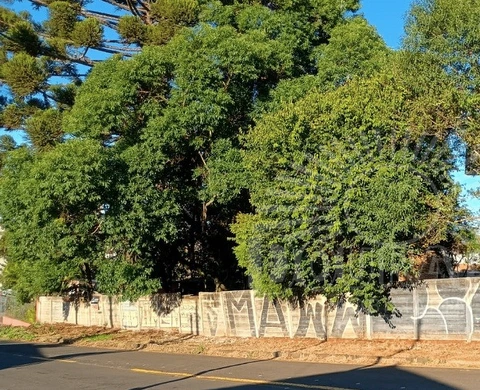 Foto Terreno