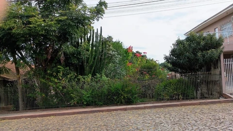 Foto Terreno