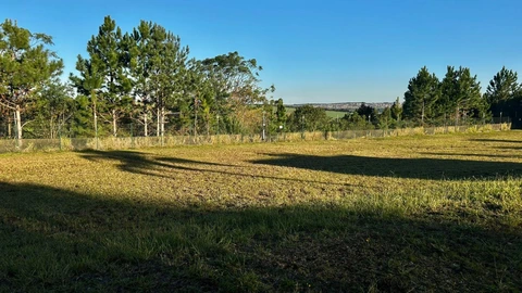 Foto Terreno