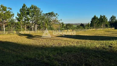 Terreno à Venda No Condomínio Terras Alphaville Com 617,50m²