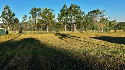 Foto Terreno