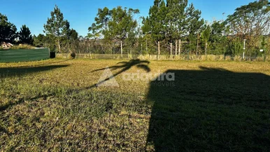 Terreno à Venda No Condomínio Terras Alphaville Com 617,50m²