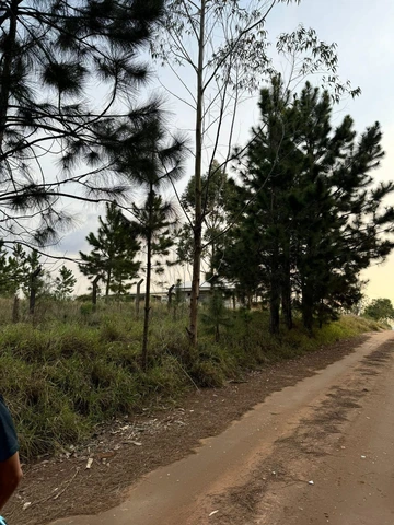 Foto Terreno
