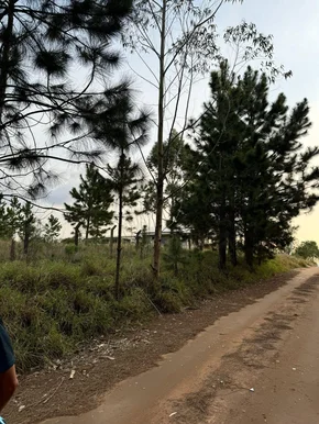 Terreno à Venda Com 1.000m² No Alagados, Ponta Grossa, Pr