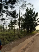 <strong>Terreno à venda com 1.000m² no Alagados, Ponta Grossa, PR</strong>