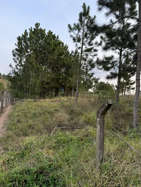Terreno à Venda Com 1.000m² No Alagados, Ponta Grossa, Pr