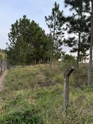 <strong>Terreno à venda com 1.000m² no Alagados, Ponta Grossa, PR</strong>