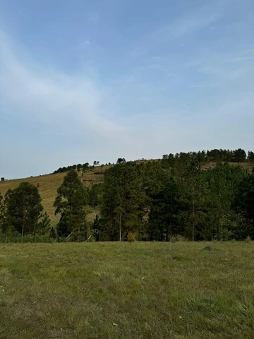 Foto Terreno
